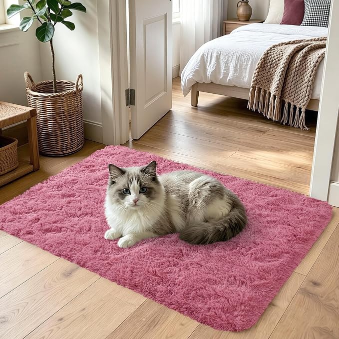 2x3 Blush Fluffy Soft Area Rug Non-Slip - Image 2