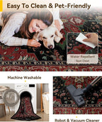 RELEANY Washable Area Rug, Small 2'x4', Water Repellent, Pet Friendly, Vintage - Image 4