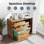 DUMOS Rolling File Cabinet - Image 3