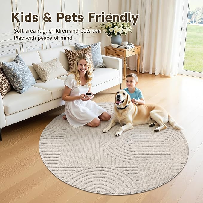 Pauwer 4ft Area Rugs for Living Room, Modern Non Slip Washable Rug, Soft Fluffy - Image 7