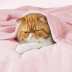 Bedsure GentleSoft Pink Fleece Throw Blanket - Image 6