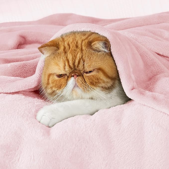 Bedsure GentleSoft Pink Fleece Throw Blanket - Image 6