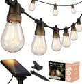 Brightech Ambience Pro Solar Powered Outdoor String Lights, 48 ft Commercial by Brightech