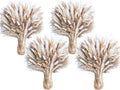 440PCS Natural Pampas Grass Mix Bouquet | Dried Pampas Bouquet by Naturalpampa