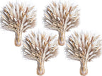440PCS Natural Pampas Grass Mix Bouquet | Dried Pampas Bouquet by Naturalpampa