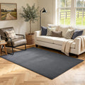 3x5 Dark Grey Solid Area Rug Washable Non-Slip Soft by Unknown