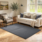 3x5 Dark Grey Solid Area Rug Washable Non-Slip Soft by Unknown