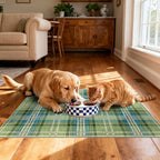 Front Door Mat Outside Entrance, 2x3 Green Teal Tartan Plaid Rug | Non-Slip - Image 6