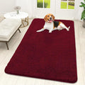 OLANLY Dog Door Mat for Muddy Paws 59x32, Super Absorbent Chenille Mud Mat | by OLANLY