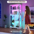 71” Glass Display Cabinet with RGB Light - Image 5