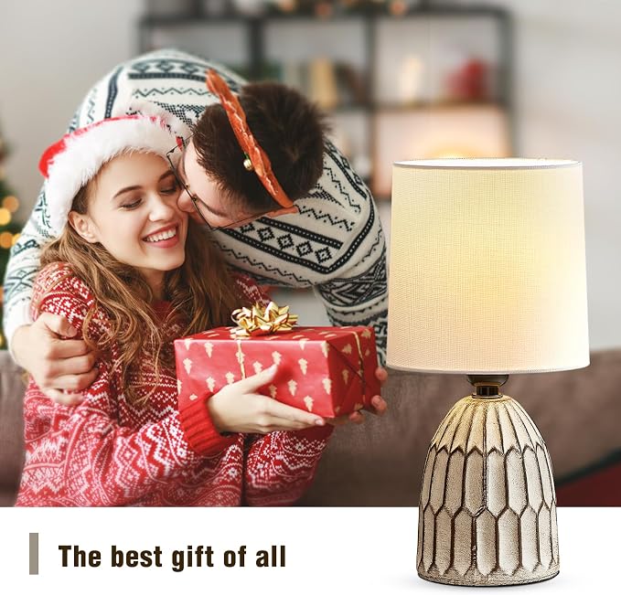 EJIAXIN Table Lamps Set of 2-13.5" Small Boho Lamp - Image 8