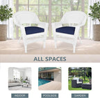Jeco Wicker Chair with Blue Cushion - Image 10