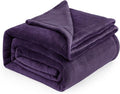 Bedsure GentleSoft Fleece Blankets Queen Size Purple by Unknown