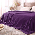 BEDELITE Fleece Blanket Soft Plush Queen Size Bed Blanket Purple 90"x90" | by BEDELITE