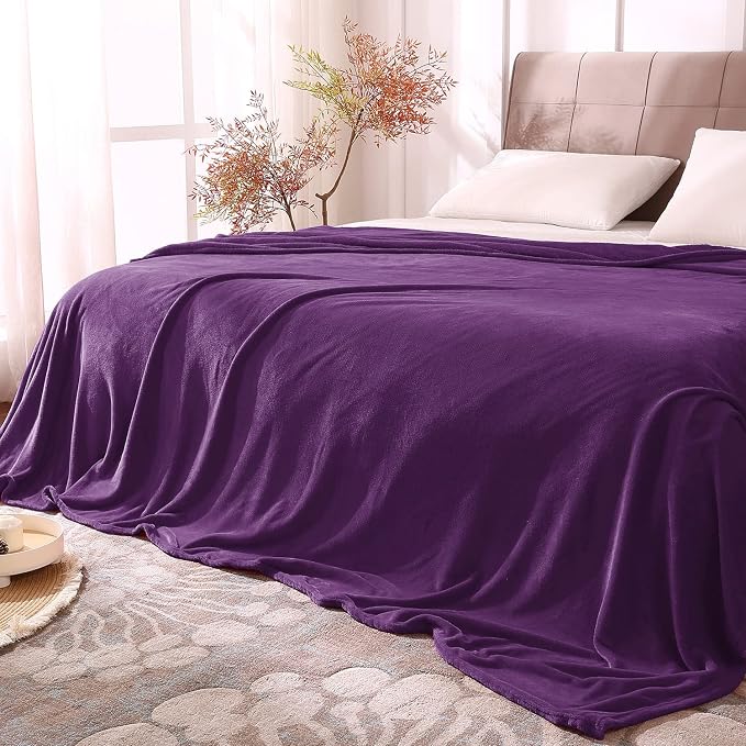 BEDELITE Fleece Blanket Soft Plush Queen Size Bed Blanket Purple 90"x90" | by BEDELITE