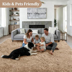 Area Rug Living Room Bedroom: 6x9 Fluffy Plush Shag Carpet Beige | - Image 4