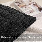 Aegero Pack of 2 Corduroy Decorative Throw Pillow Covers 22x22 Inch - Image 2