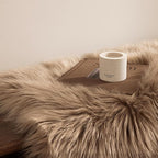 Ashler Faux Fur Rug, 2 x 3 Ft, Machine Washable | Fluffy Shaggy Rug, Ultra Soft - Image 4