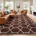 6x9 Area Rugs for Living Room Bedroom, Fluffy Brown and White Geometric Rug | by ONASAR