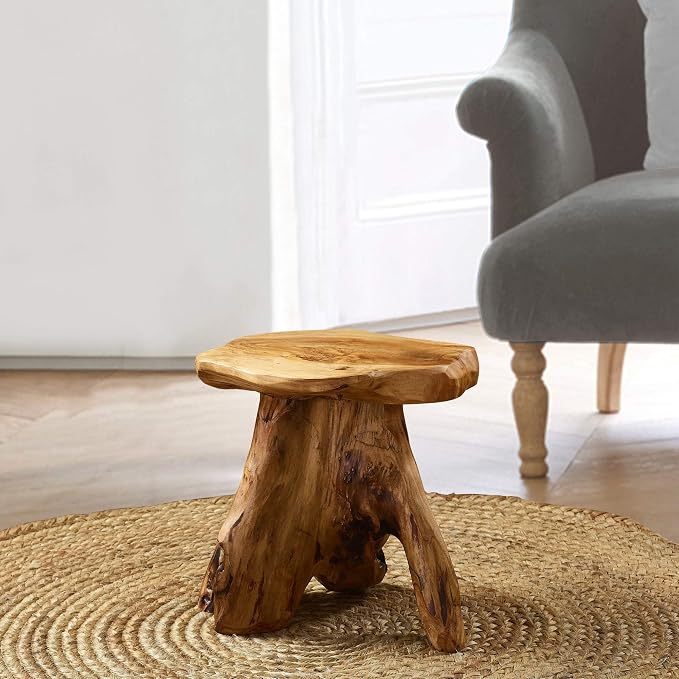 UKN Cedar Roots Naturally Shaped Mushroom Stool Side Table Stand Natural Cabin by Unknown