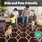 6x9 Area Rugs for Living Room Bedroom, Fluffy Brown and White Geometric Rug | - Image 3