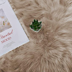 Latepis Light Brown Beige Living Room Rugs Faux Sheepskin Fur 5x7 Area Rugs - Image 6