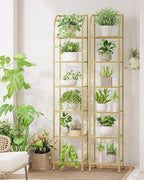 Hzuaneri Bookcase Bookshelf, Tempered Glass Arched Bookshelf - Image 3