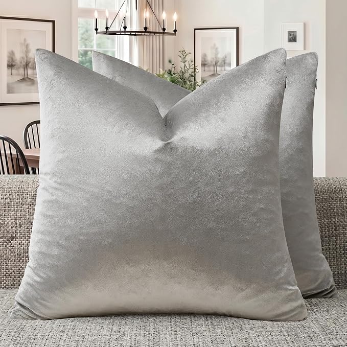GIGIZAZA Silver Grey Velvet Throw Pillow Covers 20x20 Pack of 2 | Decorative by GIGIZAZAFocusingonhomedecoration