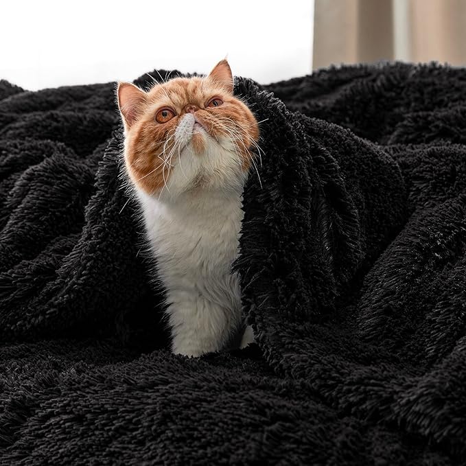 Bedsure GentleSoft Fluffy Black Throw Blanket Gifts - Image 8