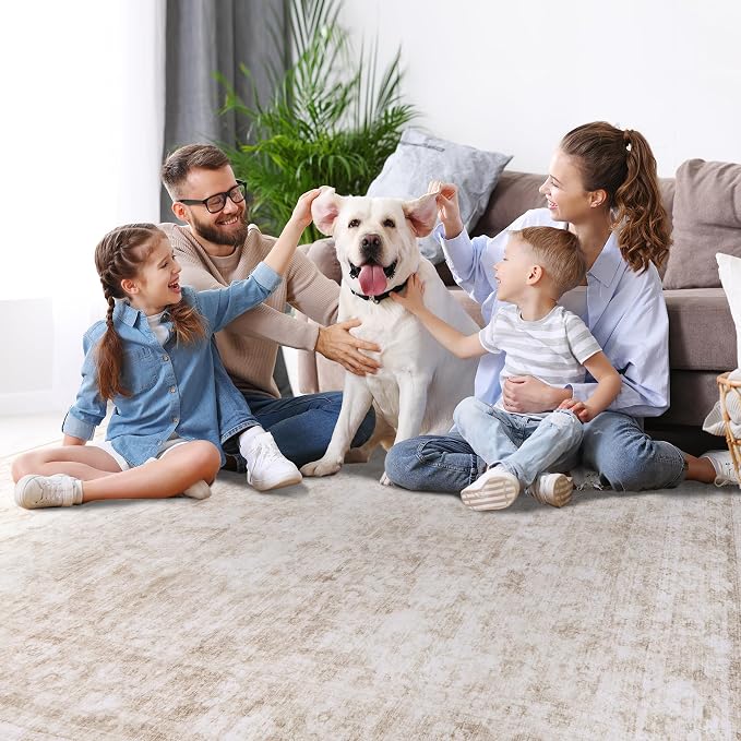 6x9 Area Rugs for Living Room Bedroom Dining Room Washable Beige White | Soft - Image 7