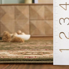 SAFAVIEH Lyndhurst Collection X-Large Area Rug - Image 4