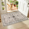 HEBE Indoor Door Mat 2'x3', Washable Welcome Mat by HEBE
