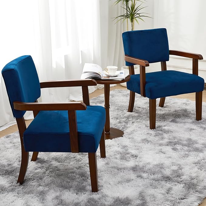 FAGAGA Accent Chair Set of 2 by FAGAGA