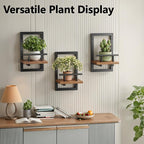 Sbosbo Floating Shelves for Wall, Plant Shelf Indoor, Wall Planters for Indoor - Image 6