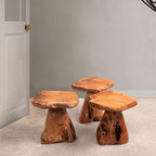 Cedar Wood Tree Stump Stool 13.5"x12"x14"H Live Edge Natural Coffee Side Table - Image 7