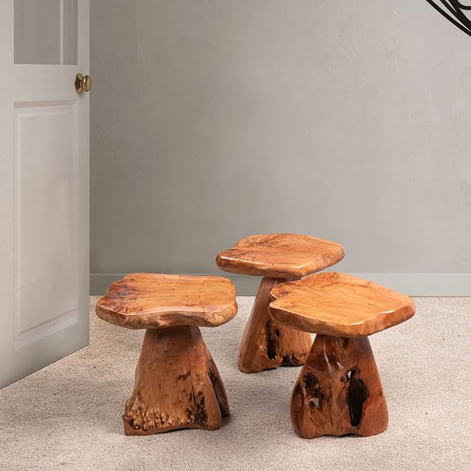 Cedar Wood Tree Stump Stool 13.5"x12"x14"H Live Edge Natural Coffee Side Table - Image 7