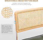 Zesthouse Natural Rattan Dining Chairs Set of 6, Modern Dining Room Chairs - Image 3