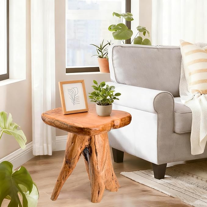18.9 inch Live Edge Wood Stool, Live Edge Wood Stool, Freeform Mushroom Side - Image 3