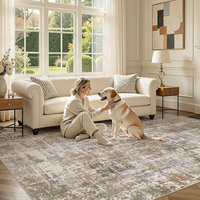 DMOYEST Area Rug Living Room Rugs 6x9 Washable Abstract Carpet | Neutral Modern - Image 8