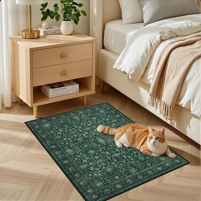 2x3 Area Rugs Living Room: Washable Rug - Image 3