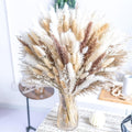 Natural Pampas Grass Mix Bouquet | Dried Pampas Bouquet by Naturalpampa