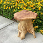UKN Cedar Roots Naturally Shaped Mushroom Stool Side Table Stand Natural Cabin - Image 3
