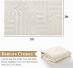 Pauwer 3x5 Area Rugs for Living Room, Modern Non Slip Washable Rug, Soft Fluffy - Image 2