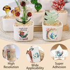 4 Sheets Rub on Transfers for Crafts, Funny owl Furniture Transfers for Wood - Image 4