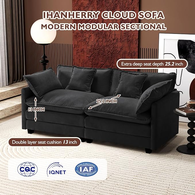 Ihanherry Cloud Sofa 77 Inch Loveseat, Modern Sectional Couch, 2-Seats Sofa - Image 3