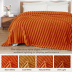 Exclusivo Mezcla Striped Queen Size Fleece Blanket - Image 3