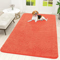 OLANLY Dog Door Mat for Muddy Paws 70x46, Super Absorbent Chenille Mud Mat | by OLANLY