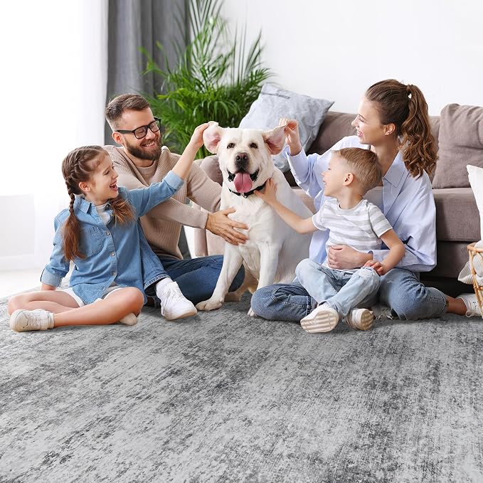 Aelenmu 10x14 Area Rugs for Living Room Dining Room Washable Grey | Soft Modern - Image 8