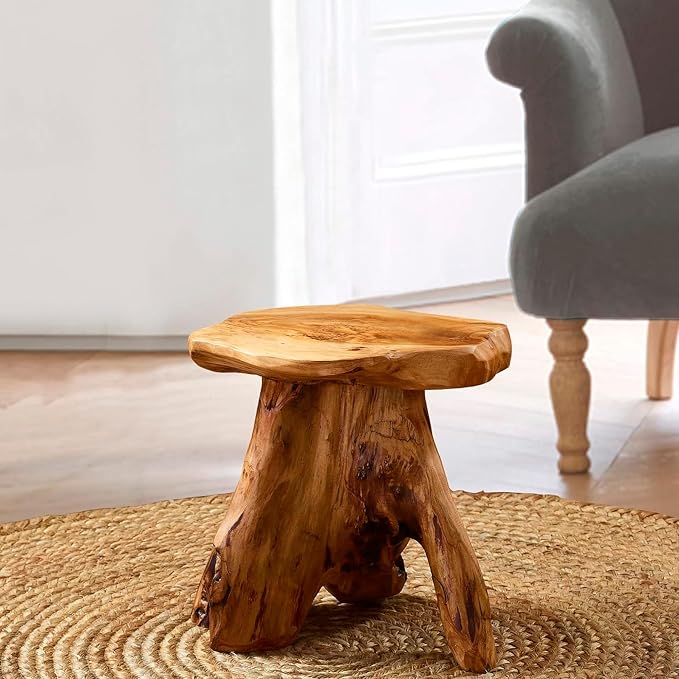 Greenage Cedar Roots Mushroom Accent Stool 12" x 15" x 13.5" Height Natural - Image 5