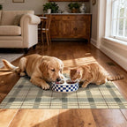 Plaid Outdoor Rug - Image 6